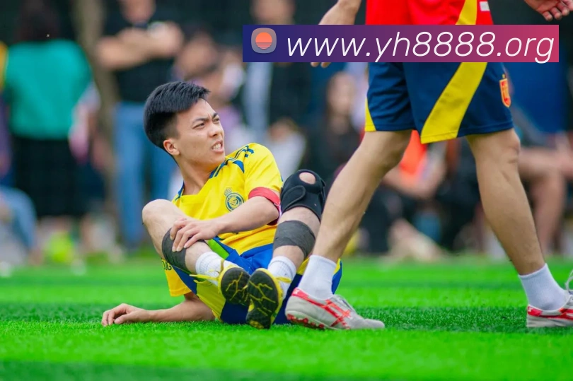 对战数据统计